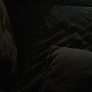 Meet your Posher, Runy